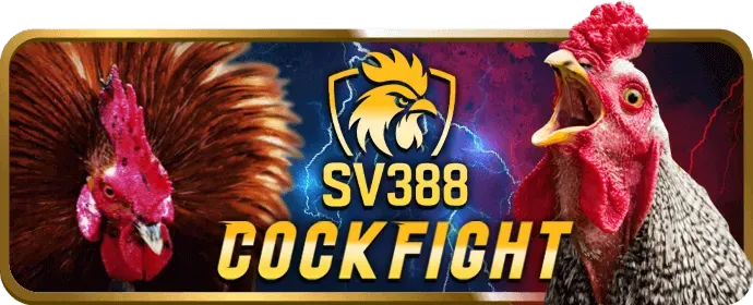 Dịch vụ chăm sóc khách hàng 24/7 của suncity